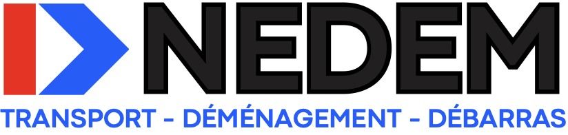 Logo NEDEM